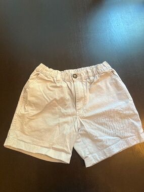 Blue Men’s Chubbies Shorts